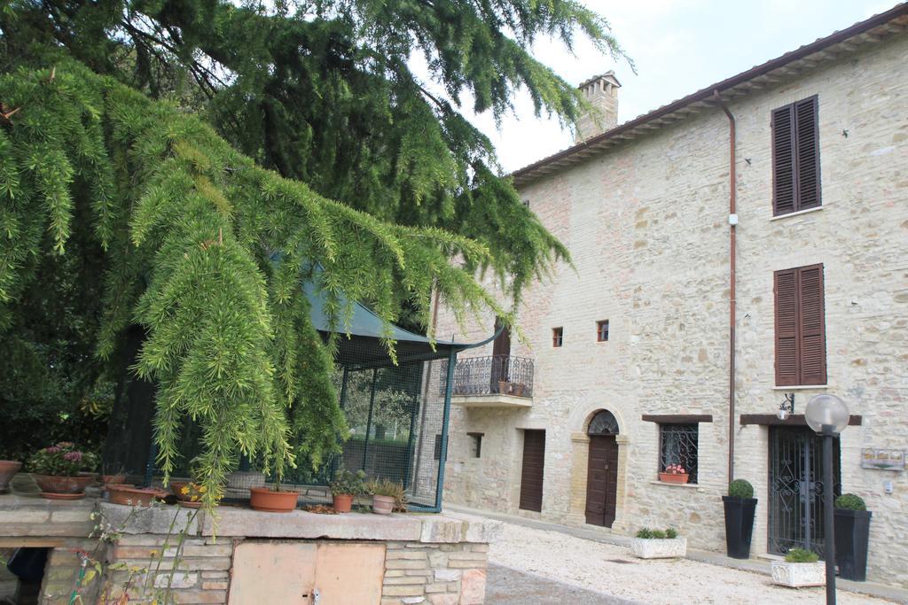 Hotel La Quiete Assisi Eksteriør bilde