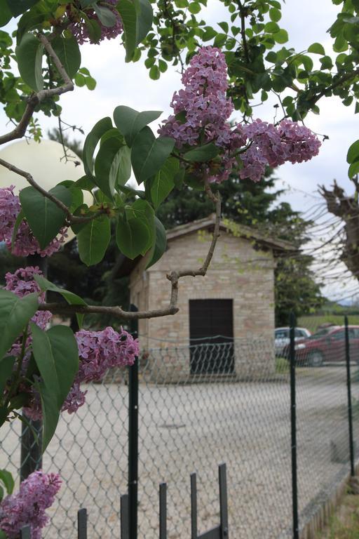 Hotel La Quiete Assisi Eksteriør bilde