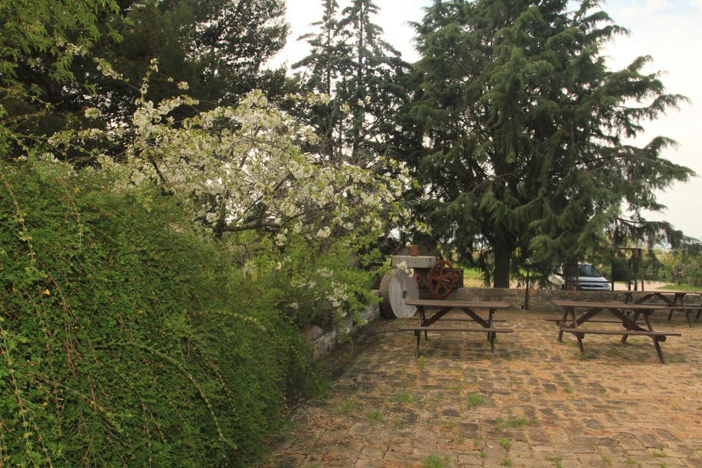 Hotel La Quiete Assisi Eksteriør bilde
