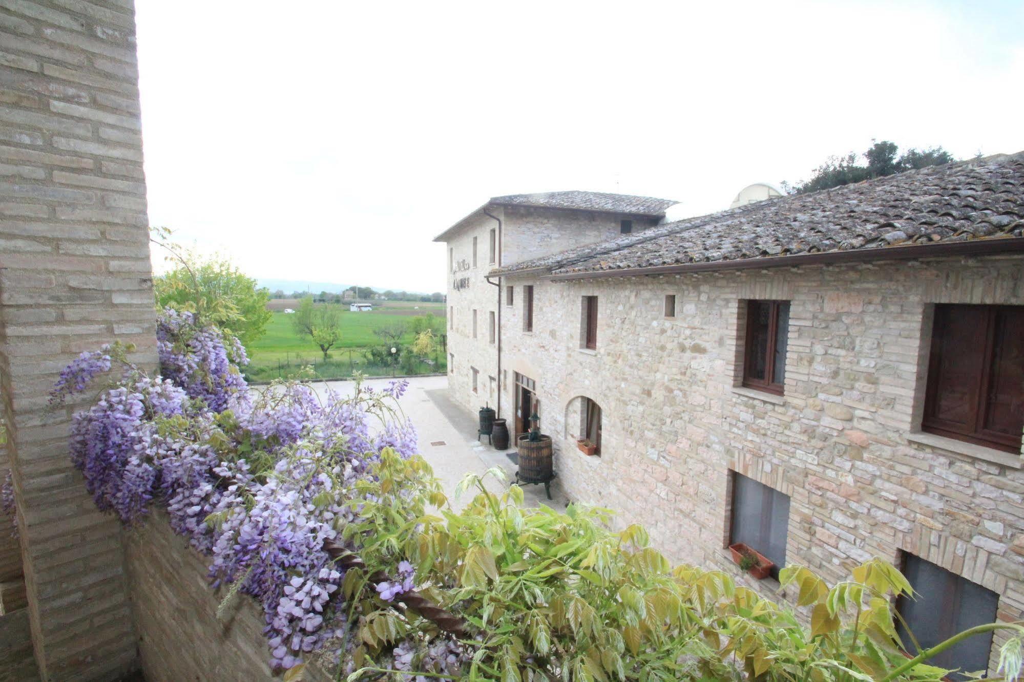 Hotel La Quiete Assisi Eksteriør bilde