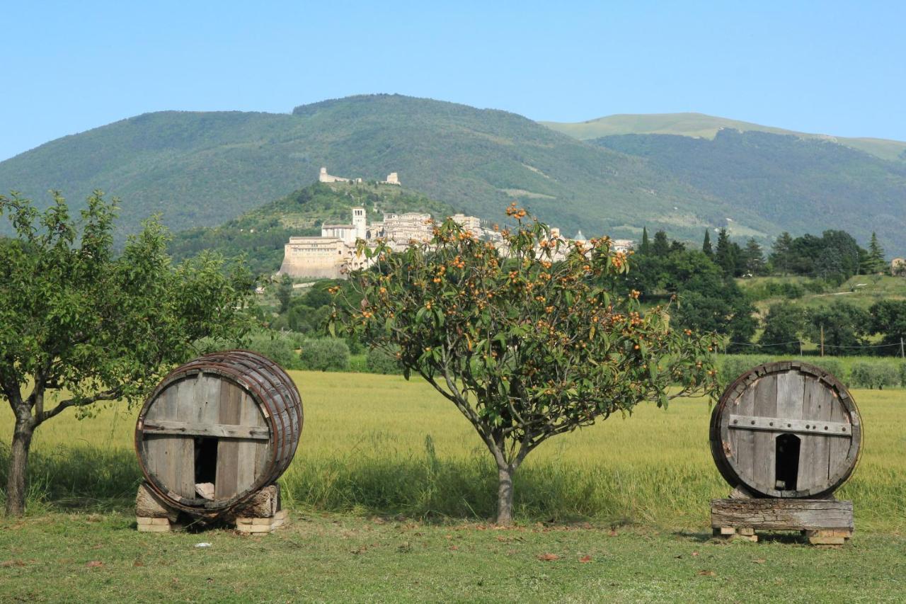 Hotel La Quiete Assisi Eksteriør bilde